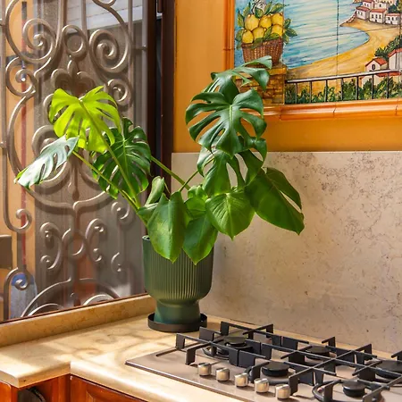 Bed & Breakfast Relais Terrace And Relax *