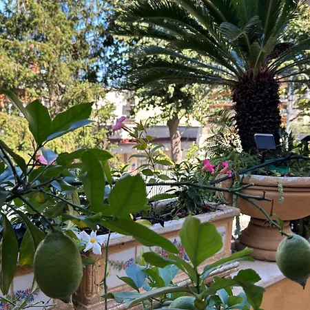 Relais Terrace And Relax Bed & Breakfast 4*