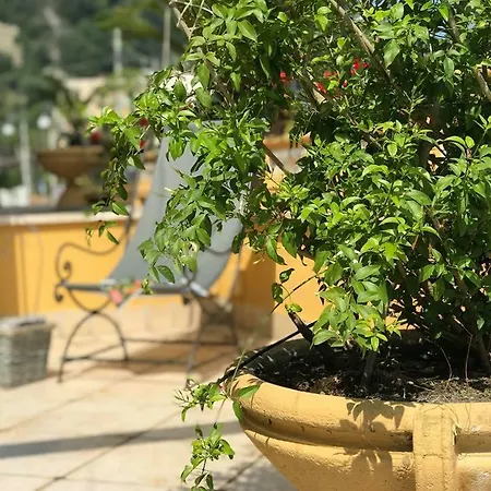 Relais Terrace And Relax Bed & Breakfast Sorrento