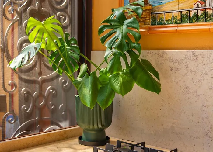 Bed & Breakfast Relais Terrace And Relax 4*